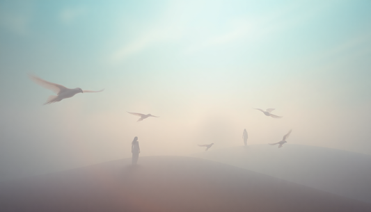 Unlock the Power of Mindfulness: A Beginner's Guide